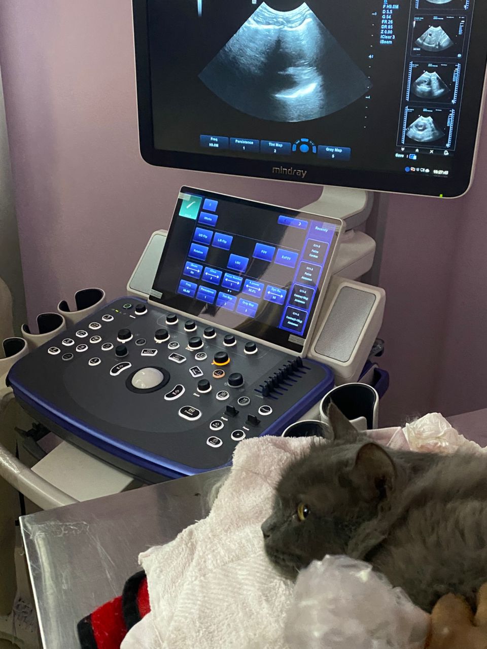 Advanced diagnostic scanning equipment